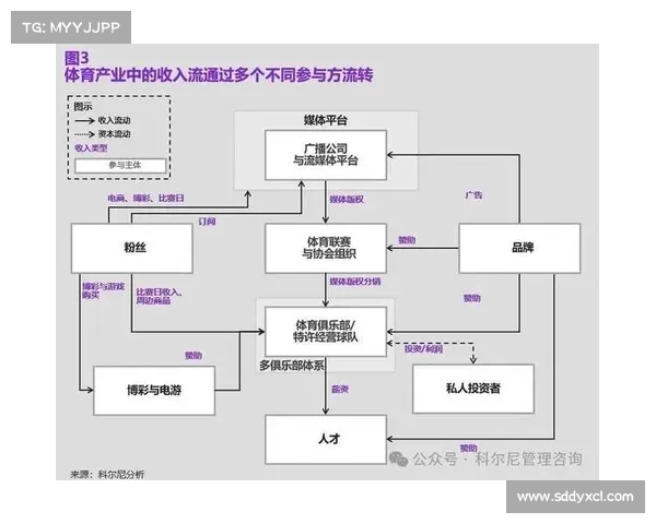 赛事组别、赛事组别的创新划分与竞技价值深度探析